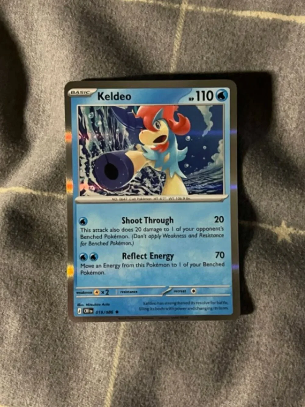 Keldeo 019/086 Chaos Rising Holo NM Pokémon TCG Card